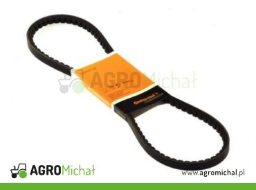 PASEK KLINOWY 13X1025