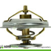 TERMOSTAT 70011316 89005904
