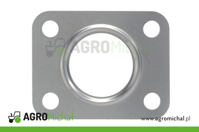 USZCZELKA TURBO 4899343-FPT