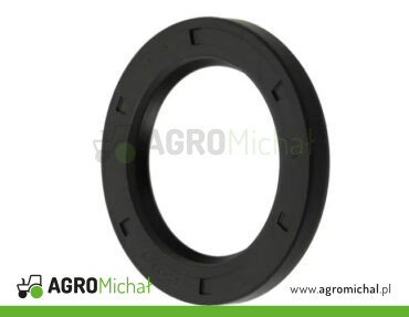 USZCZELNIACZ 60X100X10 GUFERO