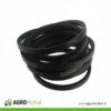 PASEK KLINOWY 22X8700LA 612520 B123338