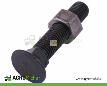 Śruba kpl. płużna podsadzana D 608 M16x100 mm kl.10.9 Waryński