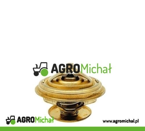 TERMOSTAT 80005902
