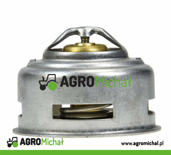 TERMOSTAT IMP 50000820IMP