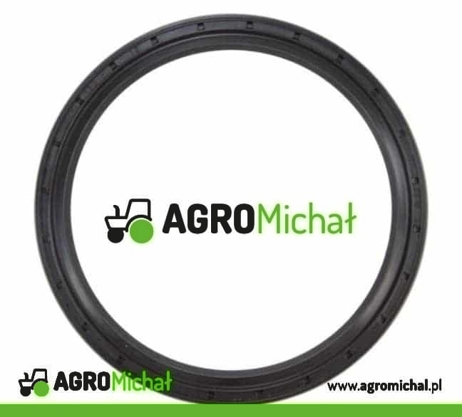 USZCZELNIACZ 110X130X13 ZETOR PROXIMA 10002036 78002006