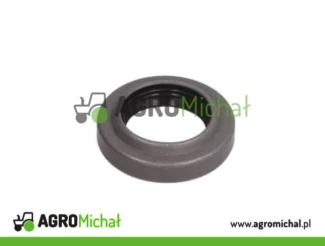 USZCZELNIACZ 28X45X6 AL32893
