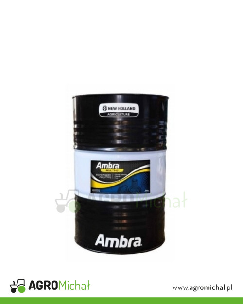 AMBRA MULTI G 60L 10W30