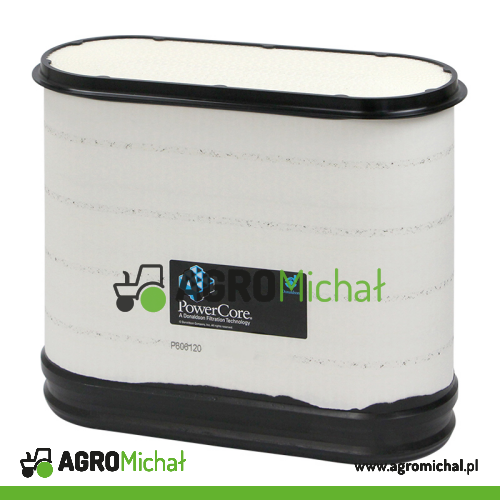 FILTR POWIETRZA P606120