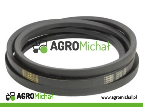 PASEK KLINOWY 25X5700LI 5800LA 653120