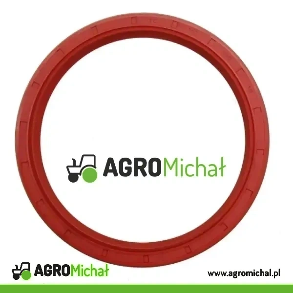 USZCZELNIACZ 110X130X13 ZETOR