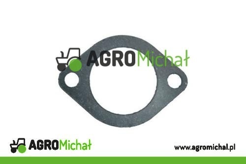 USZCZELKA TERMOSTATU 0490184